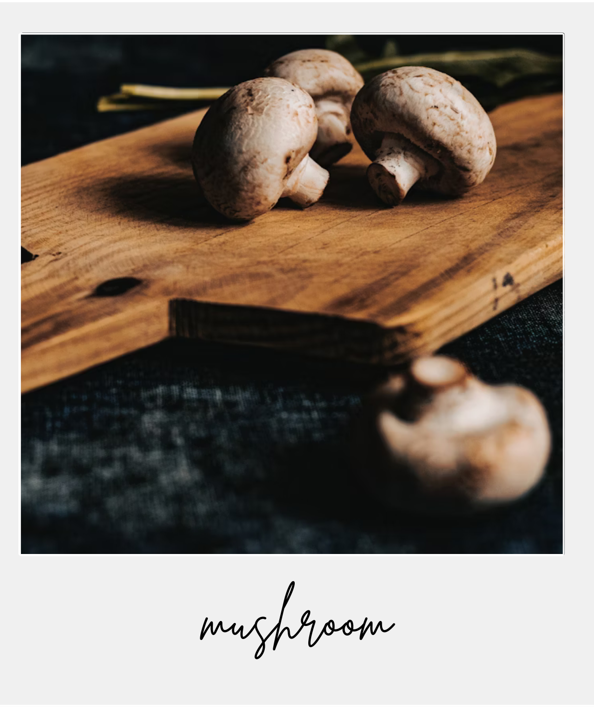 Foto artística de cogumelos